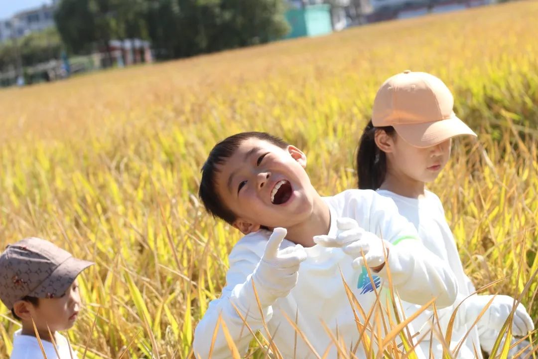 诗意·稻香 — “厉行节约,反对浪费”秋日主题研学活动 诗意·稻香 — “厉行节约,反对浪费”秋日主题研学活动