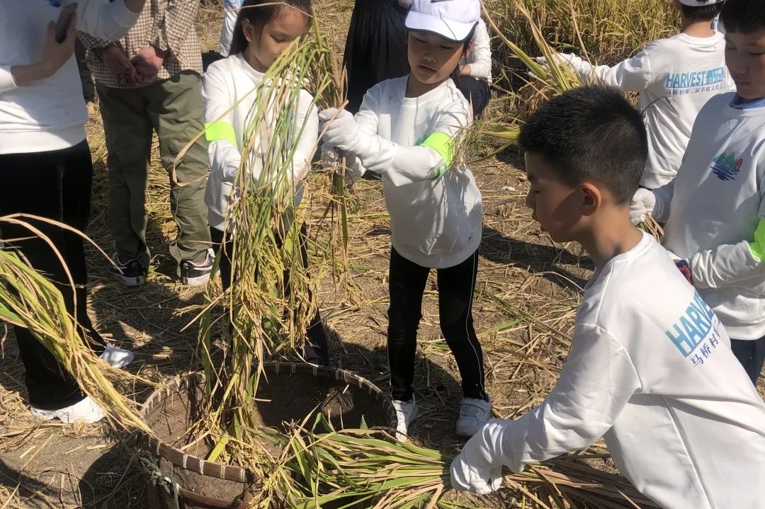 诗意·稻香 — “厉行节约,反对浪费”秋日主题研学活动 诗意·稻香 — “厉行节约,反对浪费”秋日主题研学活动