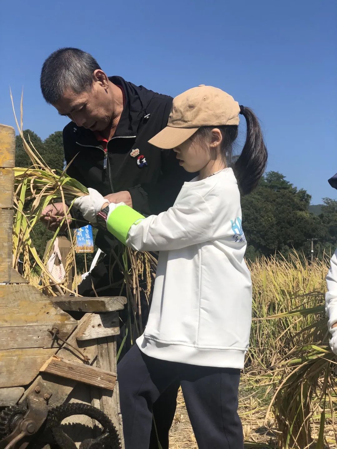 诗意·稻香 — “厉行节约,反对浪费”秋日主题研学活动 诗意·稻香 — “厉行节约,反对浪费”秋日主题研学活动