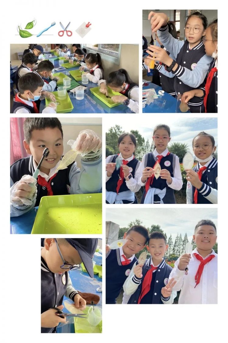 劳动磨砺心志 实践感悟生活—— 记温大附小五年级七都岛劳动实践活动