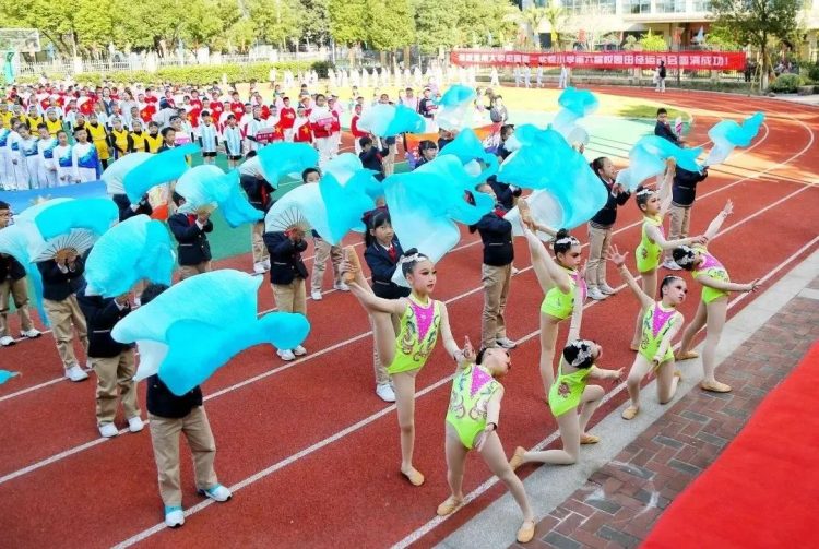 体坛青春际会，校园运动乐章——记小π队校运会精彩瞬间
