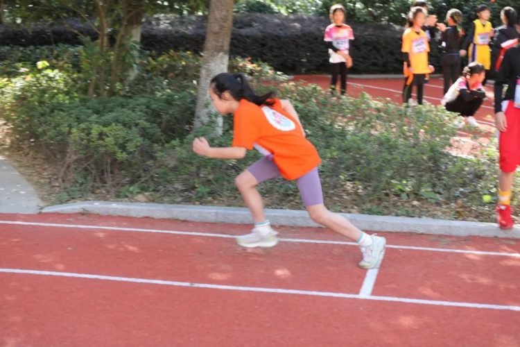体坛青春际会，校园运动乐章——记小π队校运会精彩瞬间