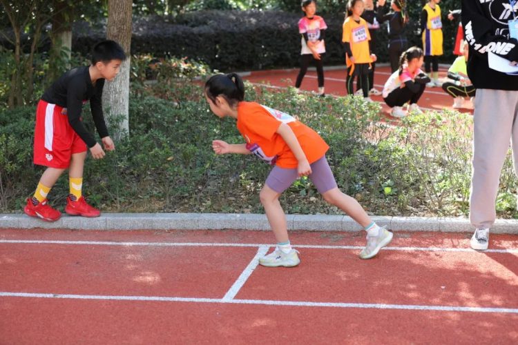 体坛青春际会，校园运动乐章——记小π队校运会精彩瞬间
