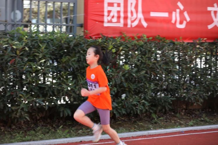 体坛青春际会，校园运动乐章——记小π队校运会精彩瞬间