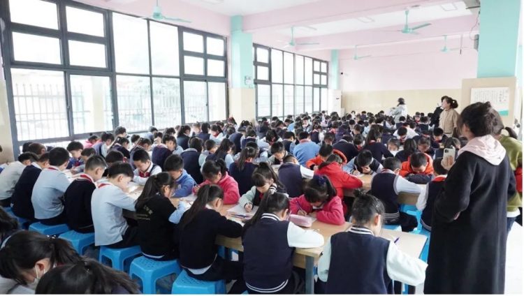 幸福童年，智趣数学——记温大附小第五届数科节之数学类项目收官