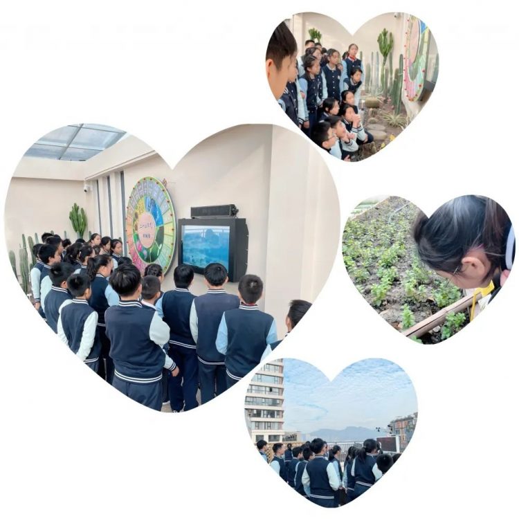 我们的“智农苑”