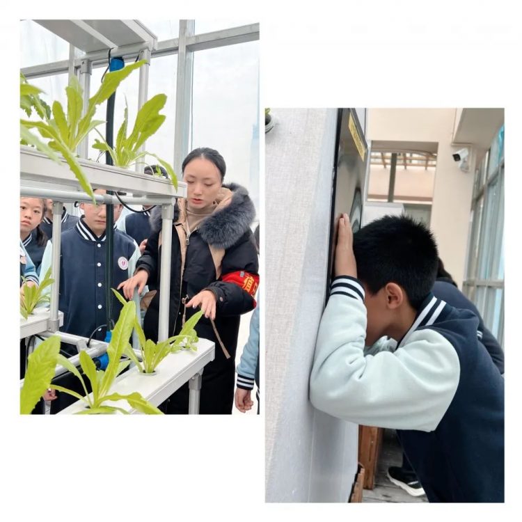 我们的“智农苑”
