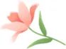 “艺”起向未来–记温大附小艺术节活动 “艺”起向未来–记温大附小艺术节活动