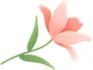 “艺”起向未来–记温大附小艺术节活动 “艺”起向未来–记温大附小艺术节活动