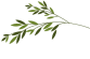 浓情端午节，弘扬爱国情——记四（5）班银河中队承办校端午主题晨会
