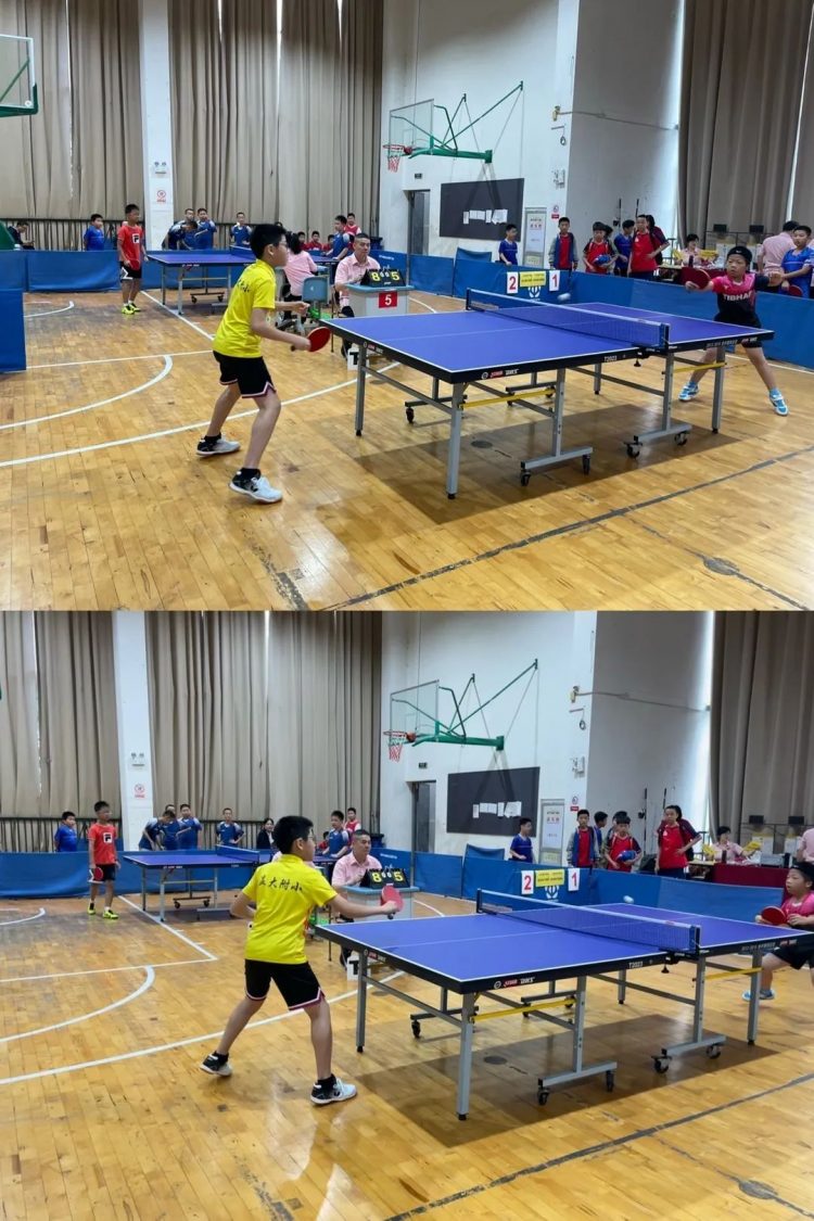 喜报：热烈祝贺我校在鹿城区中小学乒乓球比赛中取得优异成绩