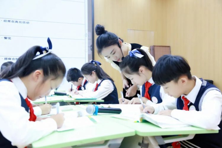 撬动未来的杠杆 综合评价改革突围 —— 记鹿城区小学生综合评价语文分项等级评价研讨会 撬动未来的杠杆 综合评价改革突围 —— 记鹿城区小学生综合评价语文分项等级评价研讨会