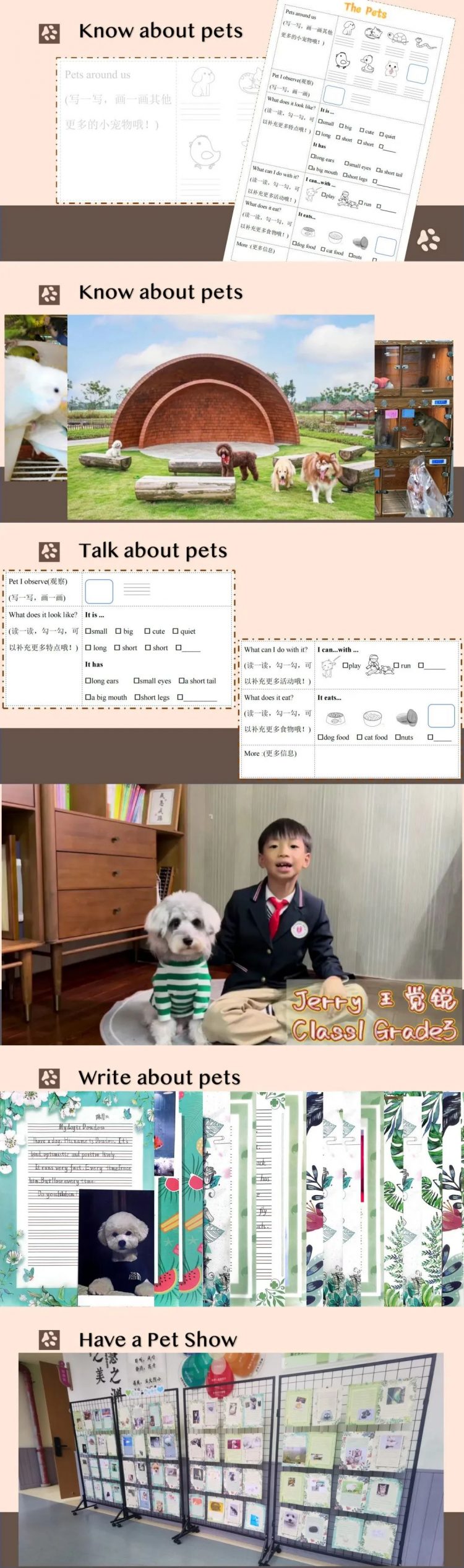 深耕项目探真知，乐享劳动促成长