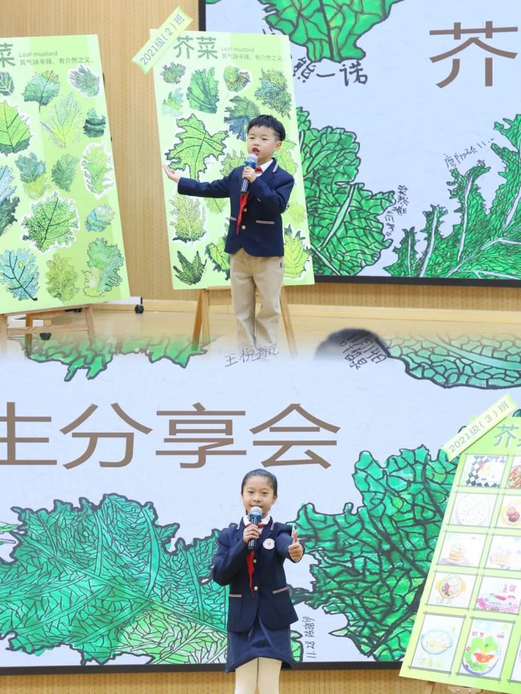 深耕项目探真知，乐享劳动促成长
