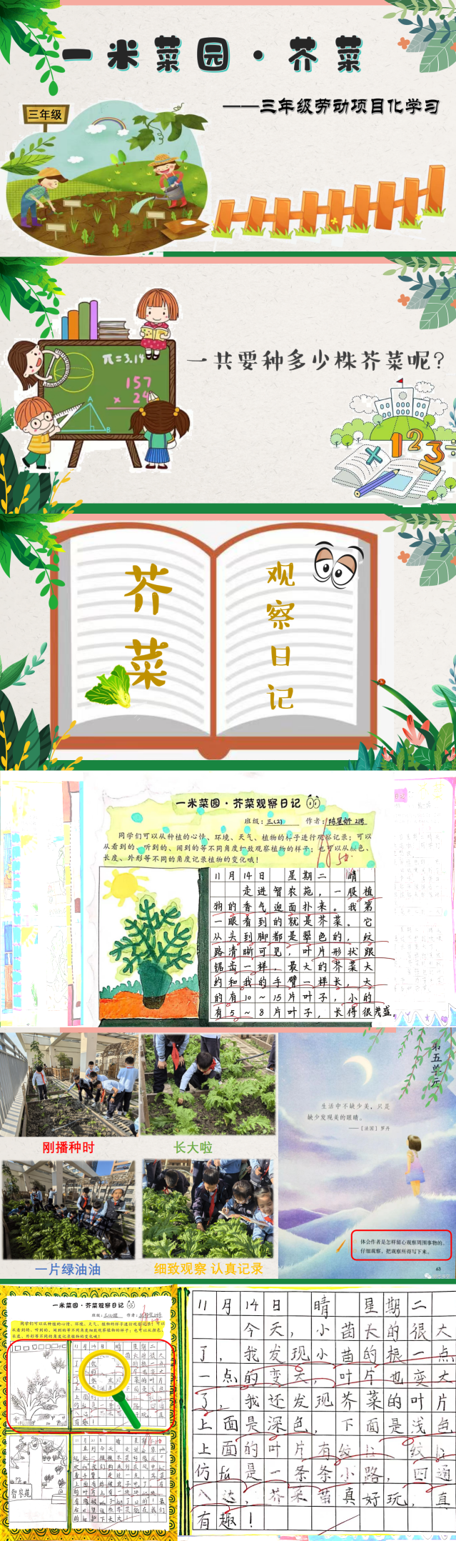 深耕项目探真知，乐享劳动促成长