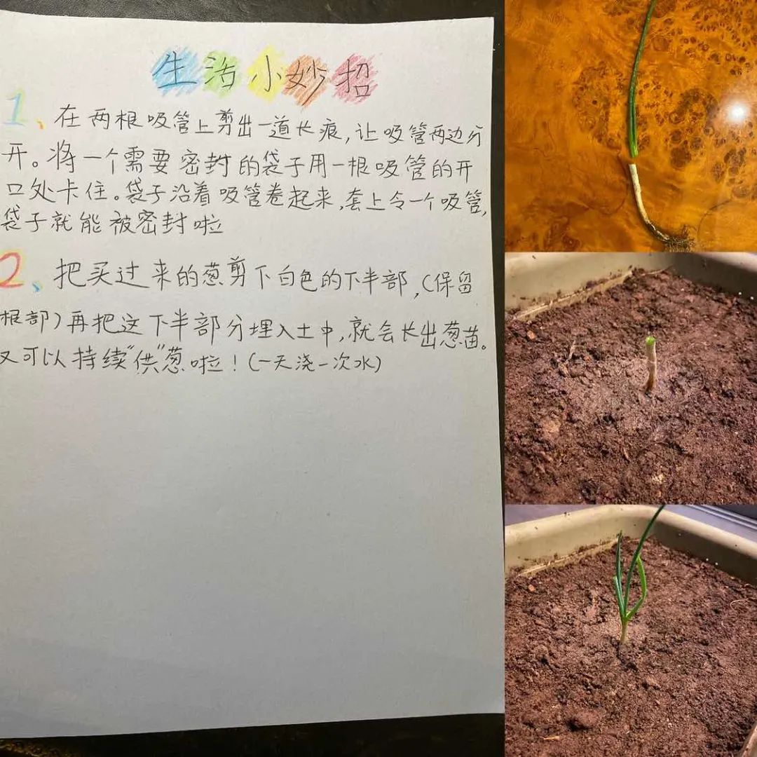 30+条你不知道的生活小妙招，个个超实用！——海上舰中队生活实践活动分享
