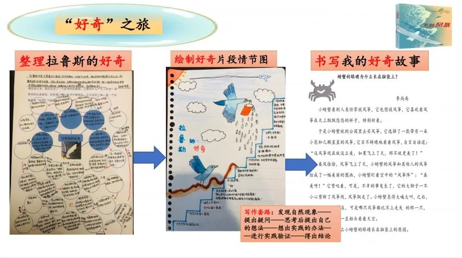 伴一路书香和小海鸥一起飞越风暴 —— 三年级开启“根生阅读，花开附小”飞越之旅